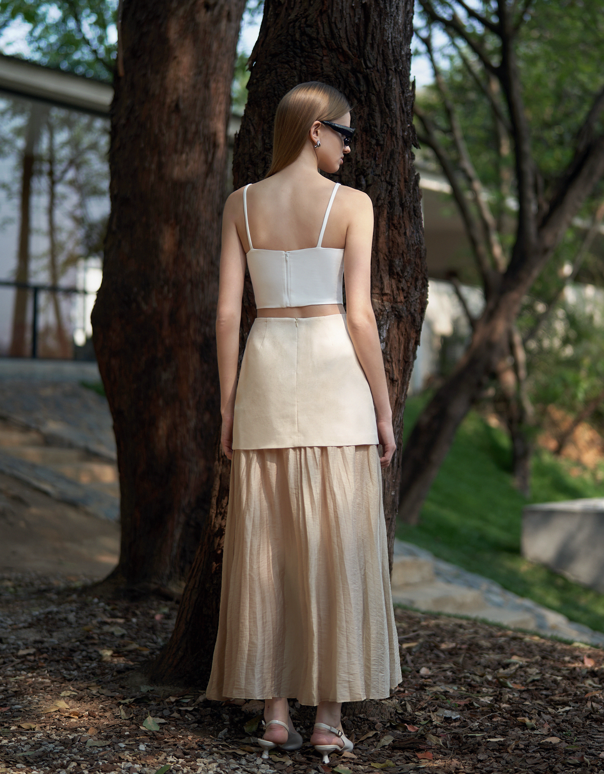 apricot