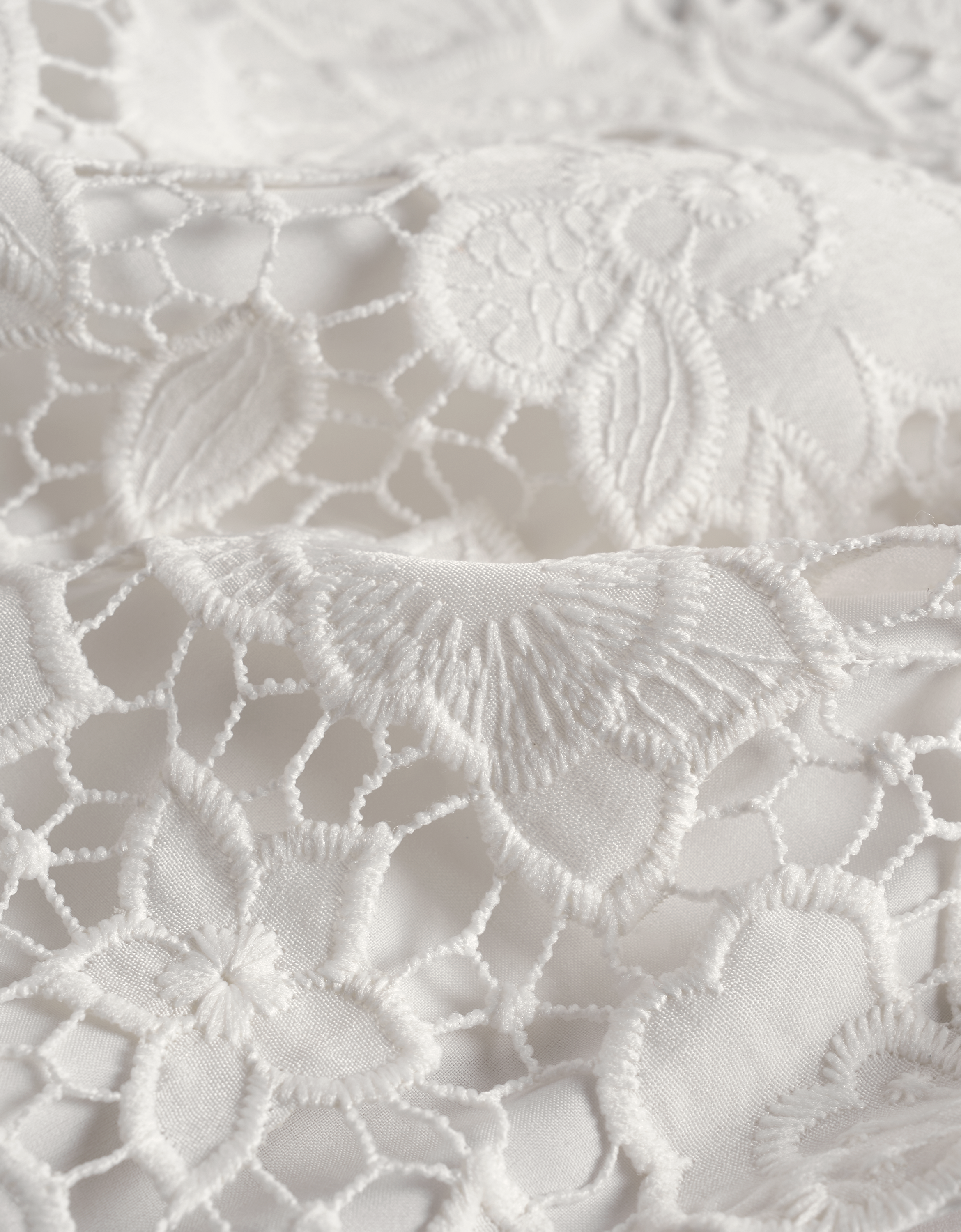 white & rose(a28293)